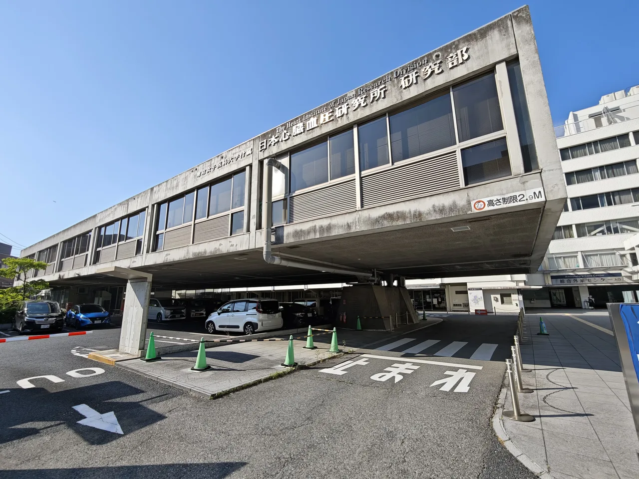 日本心臓血圧研究所研究部