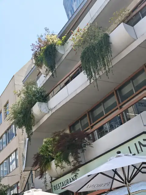 スプリングテラス表参道