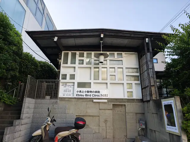 エビスバードクリニックMAI