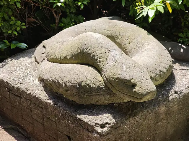 宝珠院