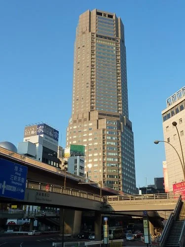 セルリアンタワー