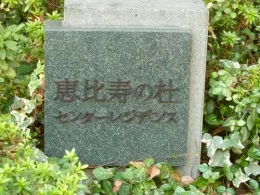 グランドメゾン恵比寿の杜